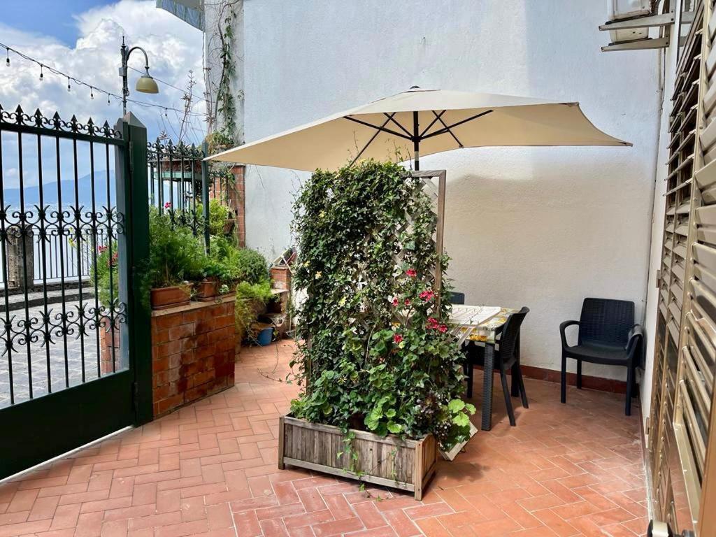 דירות ויקו אקוונסה Casa Violante מראה חיצוני תמונה